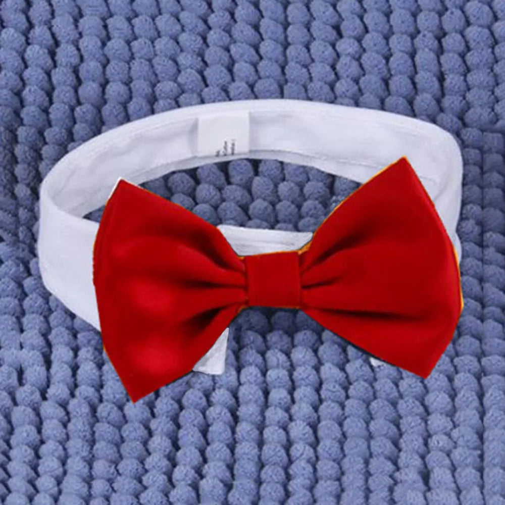 Adjustable Pet Bowtie Collar